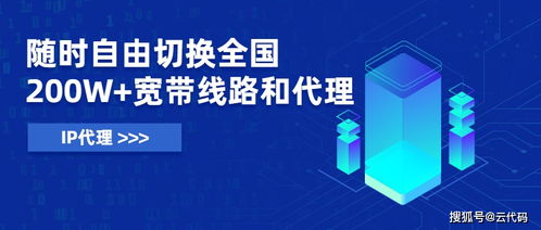 自动与手动换IP软件在信息技术咨询服务中的受欢迎度对比分析